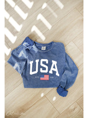 USA Mineral Washed Long Sleeve Graphic Top