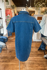 Maisy Denim Dress
